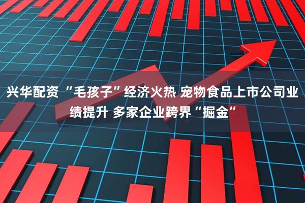 兴华配资 “毛孩子”经济火热 宠物食品上市公司业绩提升 多家企业跨界“掘金”