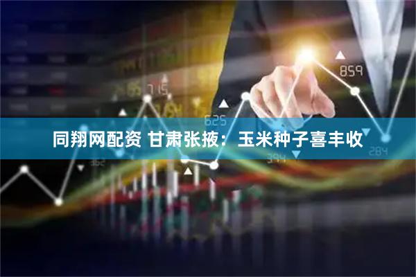 同翔网配资 甘肃张掖：玉米种子喜丰收