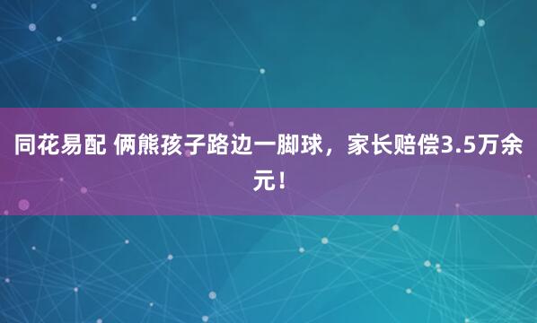 同花易配 俩熊孩子路边一脚球，家长赔偿3.5万余元！